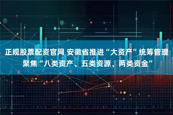 正规股票配资官网 安徽省推进“大资产”统筹管理 聚焦“八类资产、五类资源、两类资金”